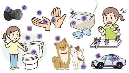 ハセッパー水イラスト